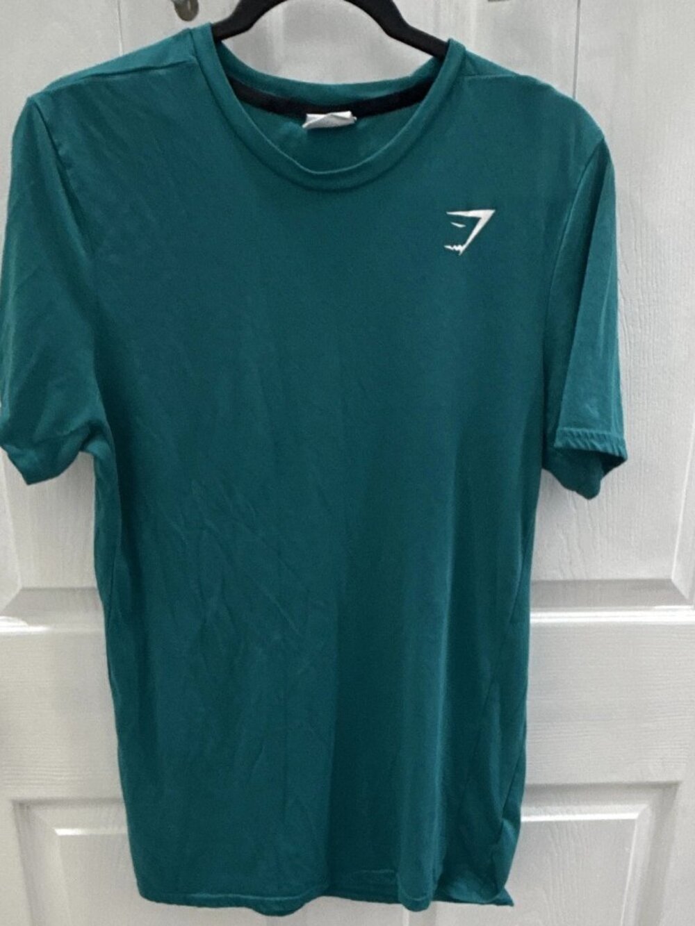 Gymshark Men's Arrival Performance T-Shirt Teal Green Size Medium